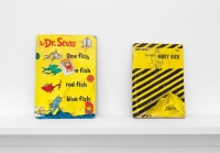 http://www.isabelyellin.com/files/gimgs/th-23_KM004_Two Yellow Books About Fish_2019_12_25x8_5x0_5_LR copy.jpg